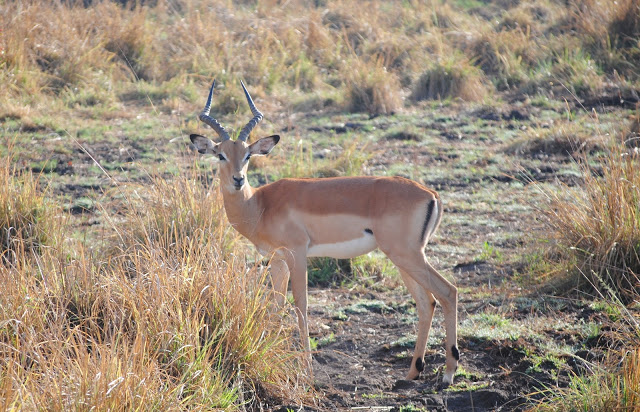 Most-oa-Tunya National Park Zambia