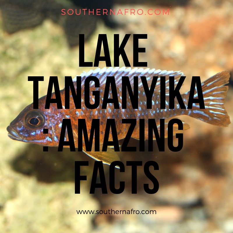 Lake Tanganyika_ Amazing Facts