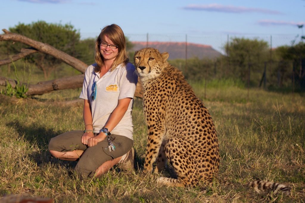 The Cheetah Conservation Fund